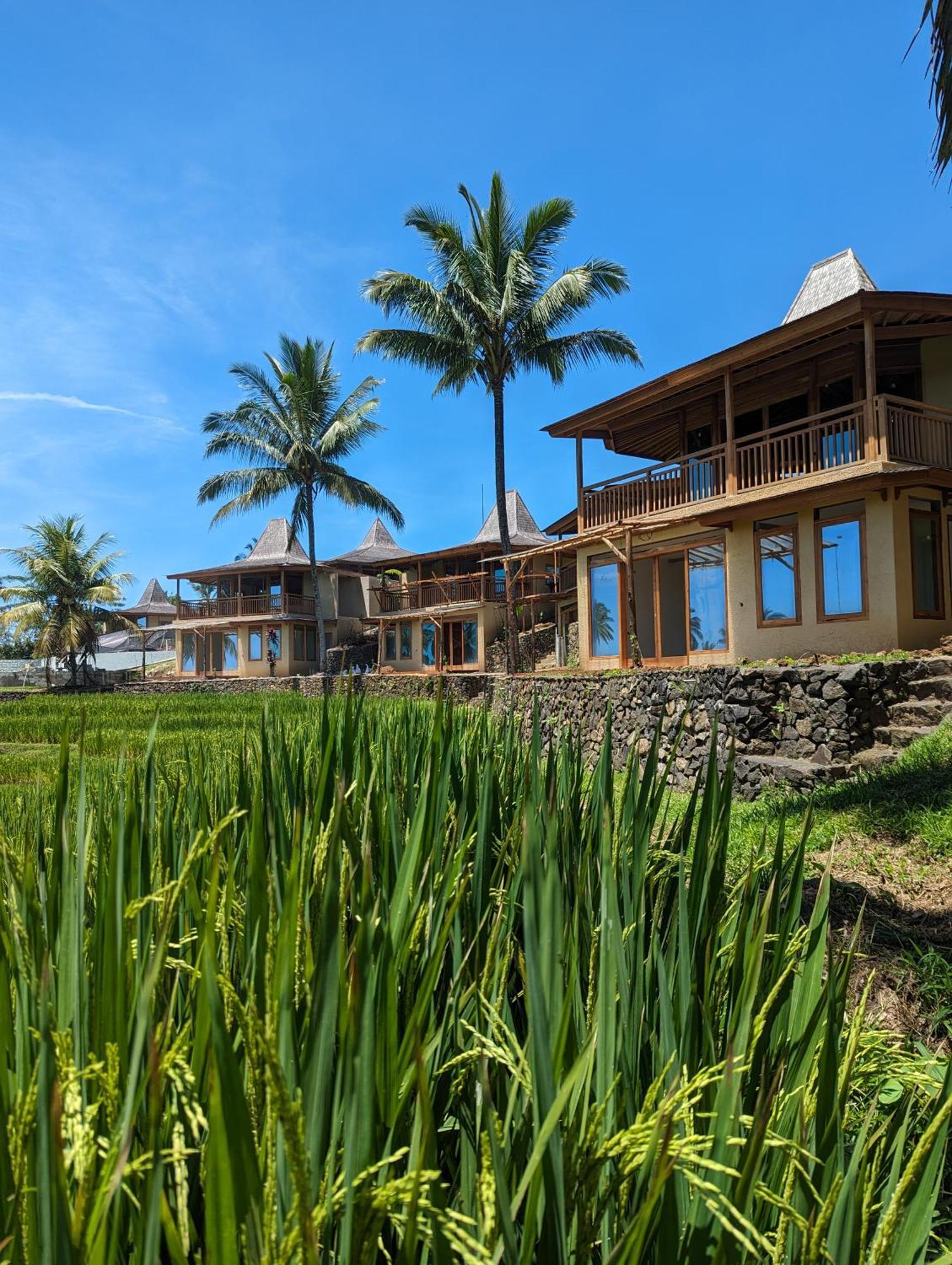 Puri Dajuma Terrace Eco Lodge & Spa Selemadeg  Exterior foto