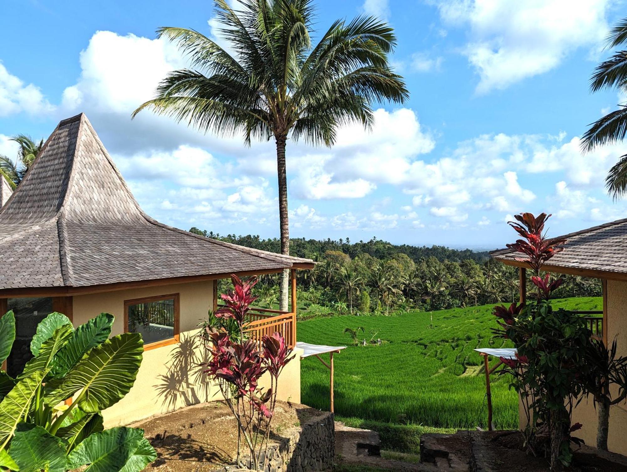 Puri Dajuma Terrace Eco Lodge & Spa Selemadeg  Exterior foto