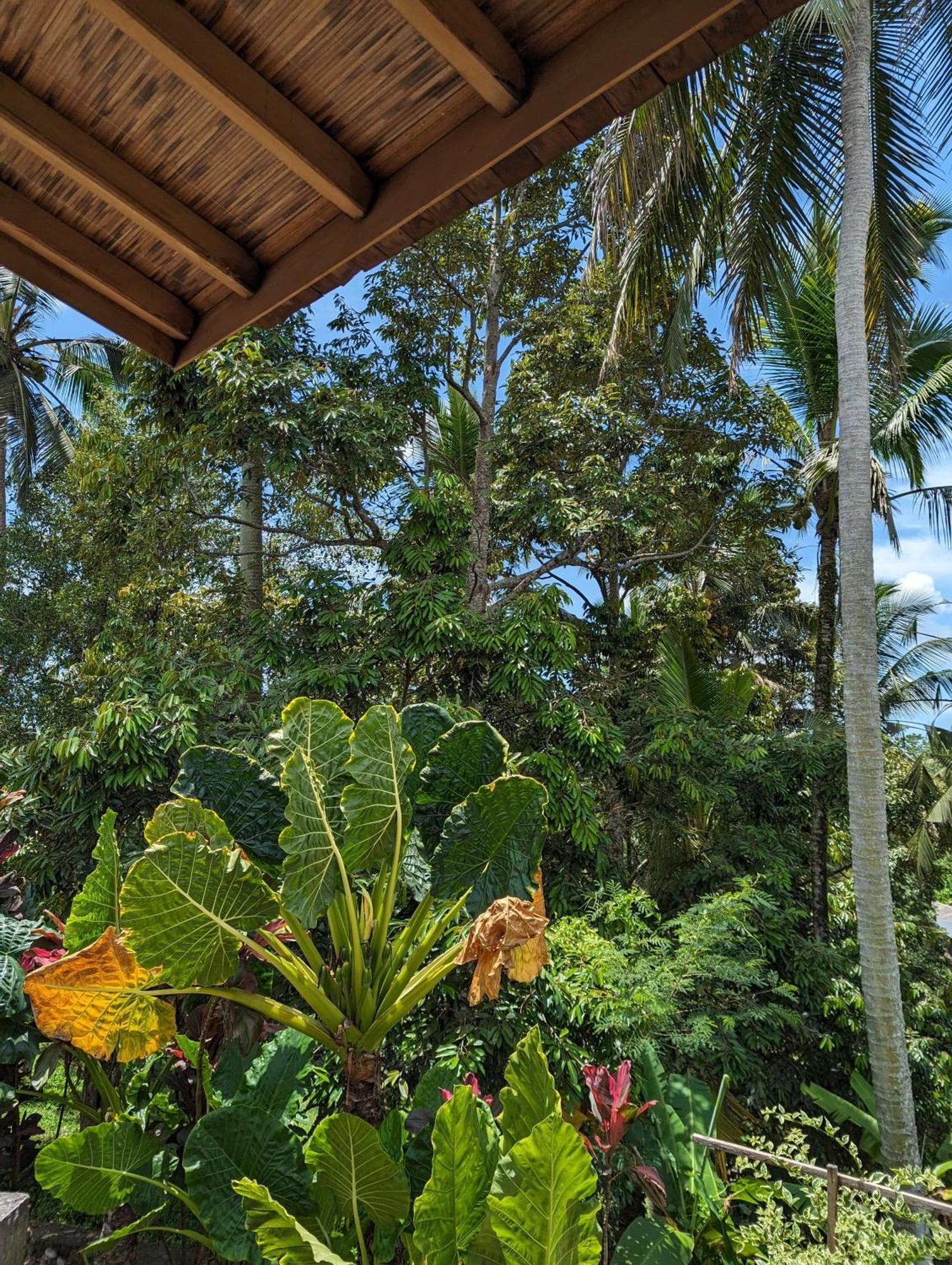 Puri Dajuma Terrace Eco Lodge & Spa Selemadeg  Exterior foto