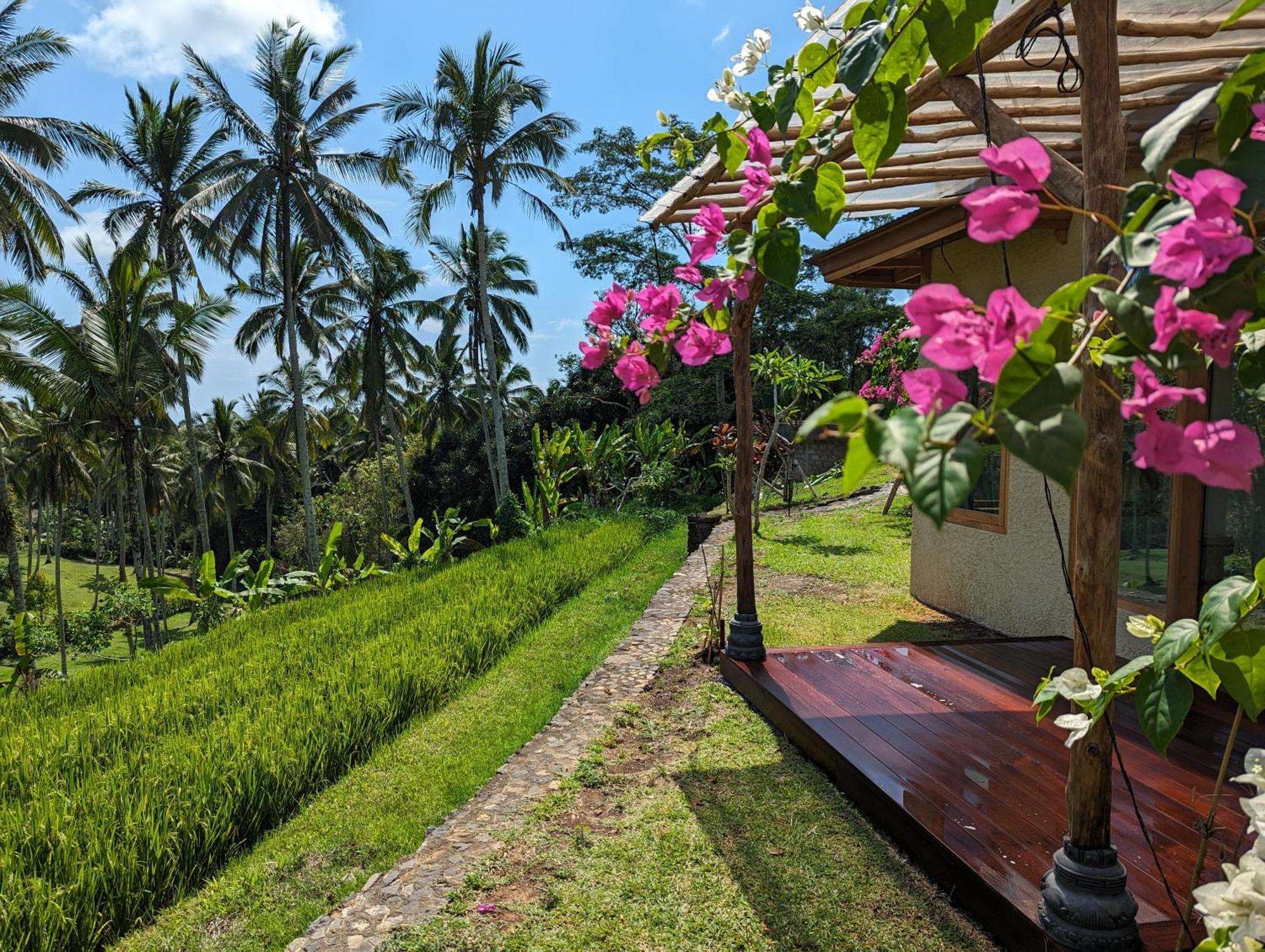 Puri Dajuma Terrace Eco Lodge & Spa Selemadeg  Exterior foto