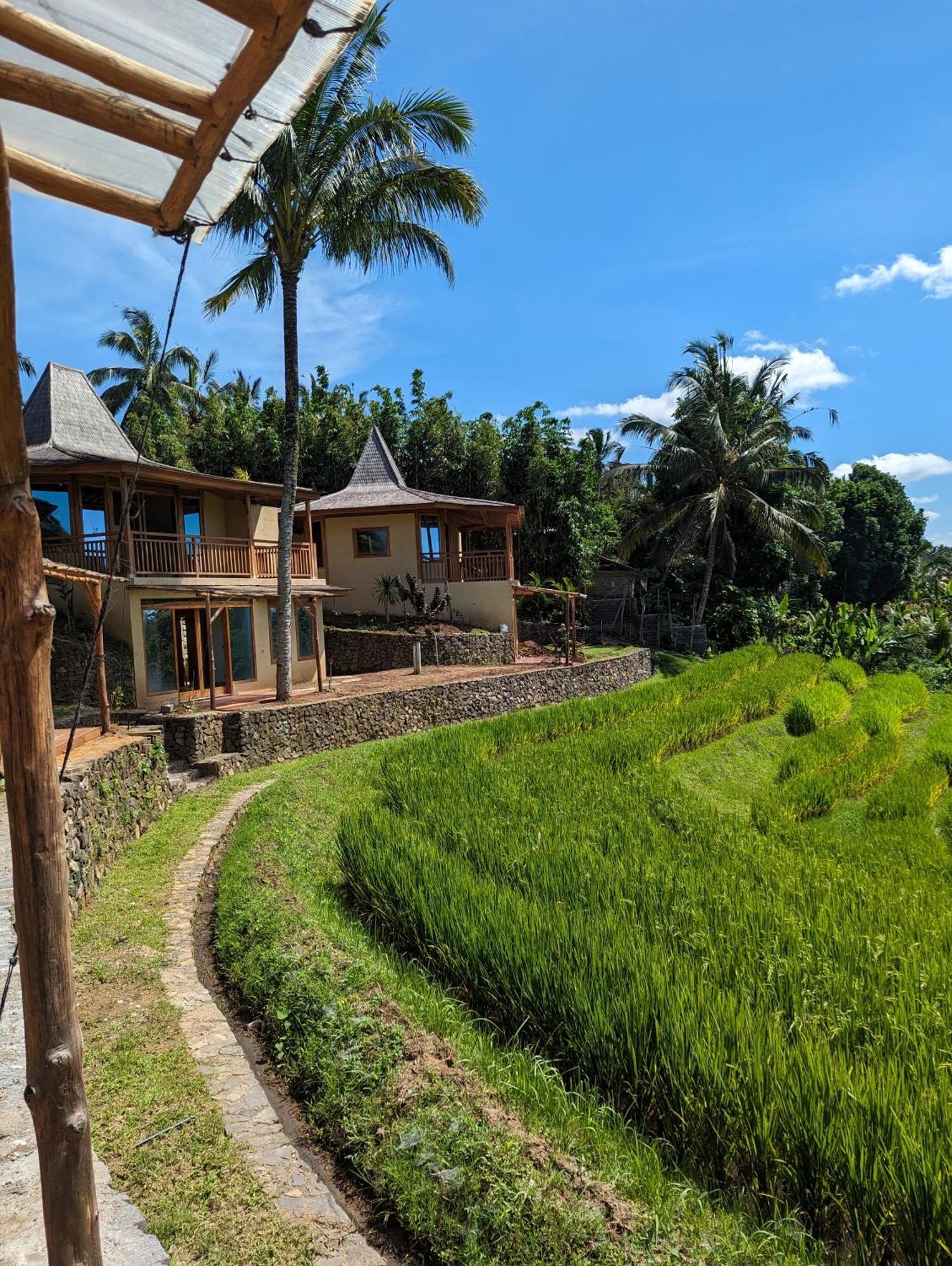 Puri Dajuma Terrace Eco Lodge & Spa Selemadeg  Exterior foto